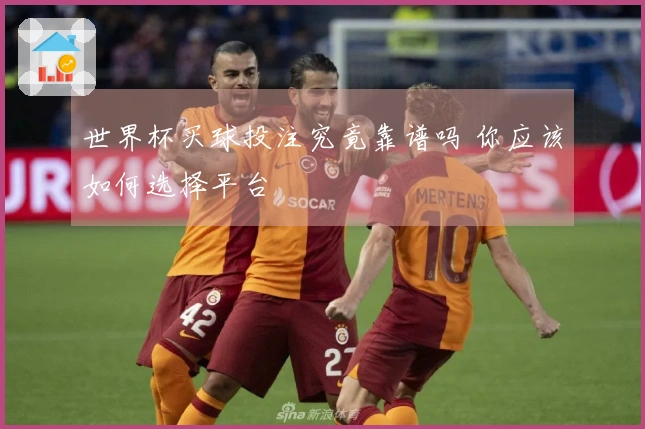 世界杯买球投注究竟靠谱吗 你应该如何选择平台