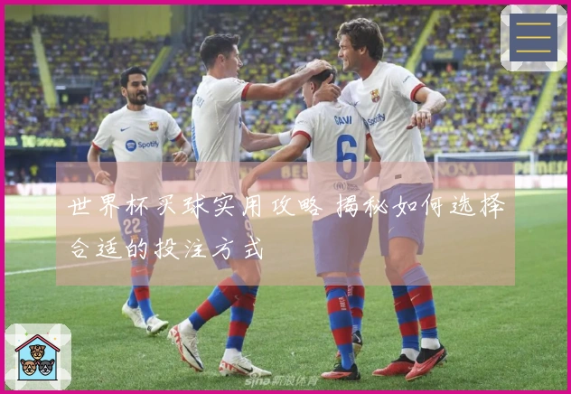 世界杯买球实用攻略 揭秘如何选择合适的投注方式