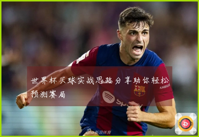 世界杯买球实战思路分享助你轻松预测赛局