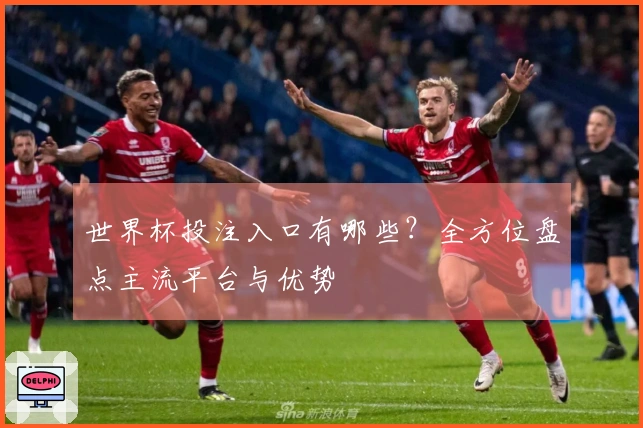 世界杯投注入口有哪些？全方位盘点主流平台与优势