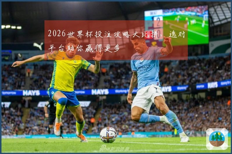 2026世界杯投注攻略大比拼，选对平台助你赢得更多