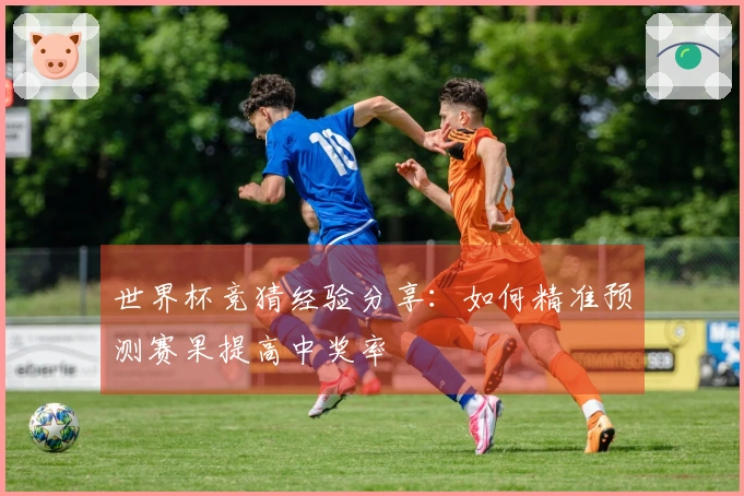 世界杯竞猜经验分享：如何精准预测赛果提高中奖率