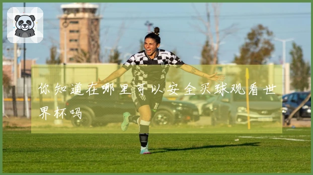 你知道在哪里可以安全买球观看世界杯吗